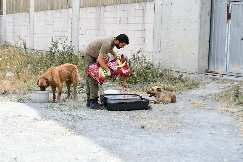 Can Dostlarımızı Yalnız Bırakmıyoruz