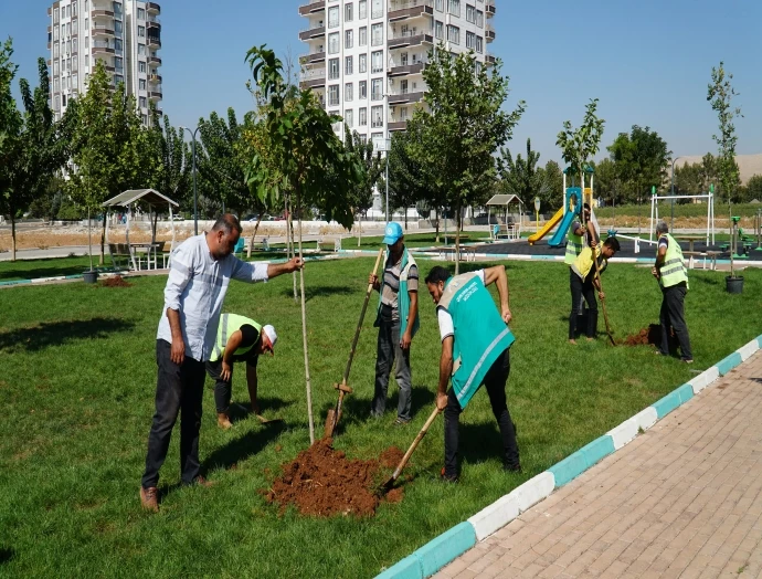 YEMYEŞİL BİR HALİLİYE İÇİN AĞAÇLANDIRMA ÇALIŞMALARI SÜRÜYOR