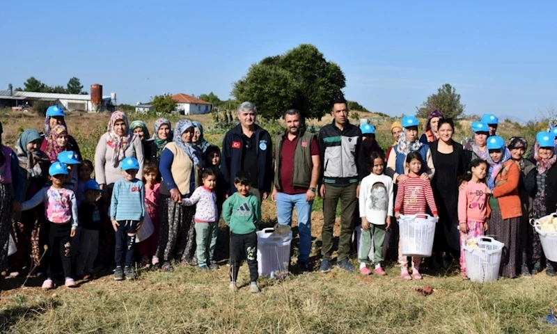 Büyükşehir çiftçi kadınların gününü tarlada kutladı