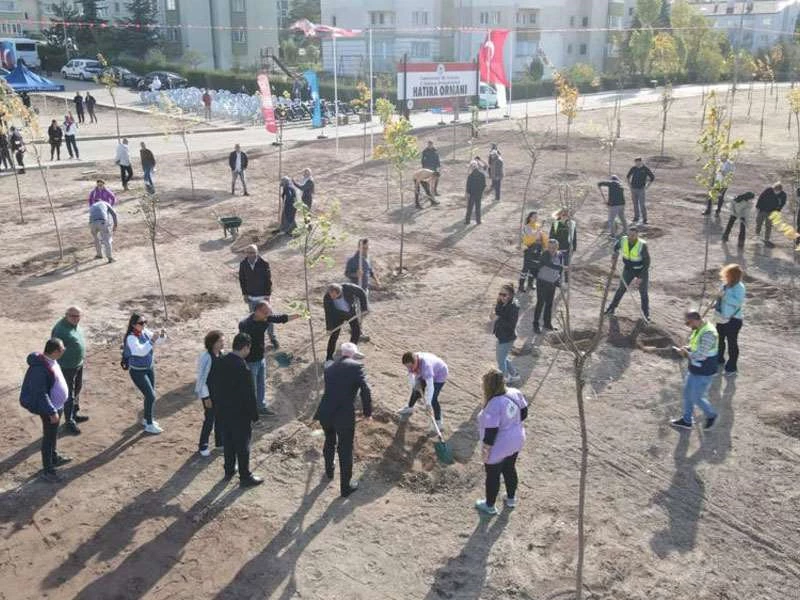 ODUNPAZARI’NDAN 100. YIL VE ODUNPAZARI 3D GENÇLİK FESTİVALİ ANISINA ODUNPAZARI’NA YENİ ORMAN