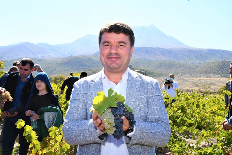 AKSARAY BELEDİYESİ 2. GELENEKSEL BAĞ BOZUMU VE PEKMEZ FESTİVALİNE HAZIRLANIYOR