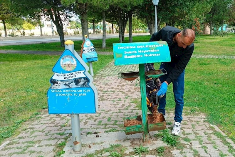 4 Ekim Hayvanları Koruma Günü vesilesi ile her hafta olduğu gibi bu hafta da sevimli dostlarımız için yemleme