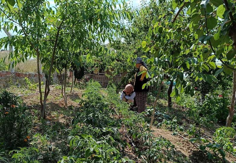 Mamak Belediyesi’nden “İyi Tarım” Eğitimi