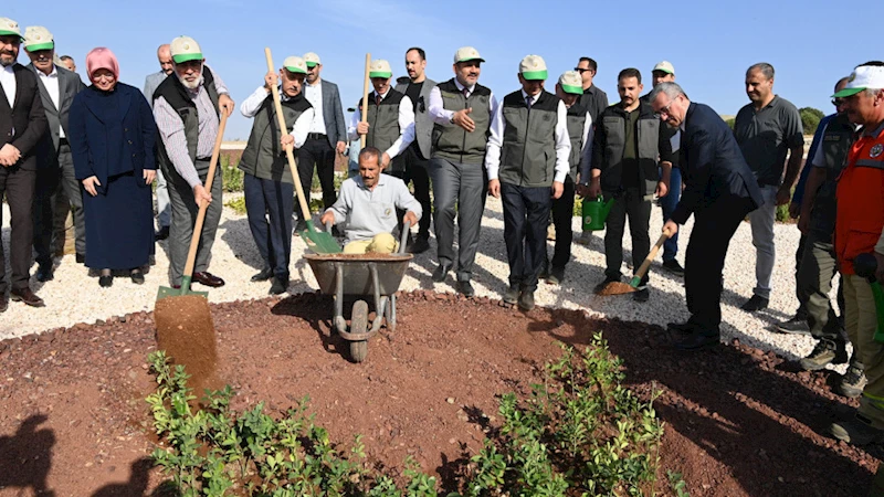 Milli Ağaçlandırma Günü’nde Binlerce Fidan Toprakla Buluşturuldu