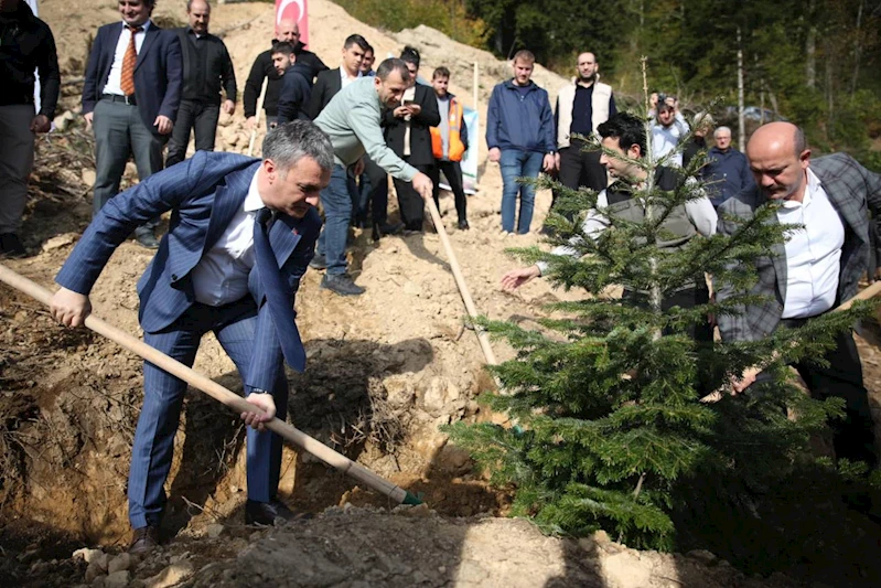 DAHA YEŞİL BİR YOMRA İÇİN BUGÜN FİDAN,YARIN NEFES