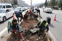 Mardin’de Kavşak ve Orta Refüjler Rengarenk