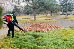 Ağaçlardan dökülen yaprakların temizliği yapılıyor