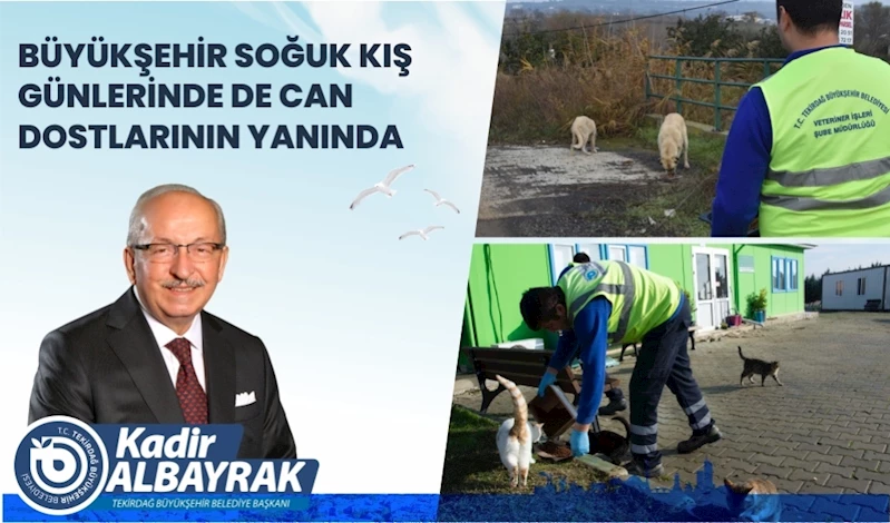 BÜYÜKŞEHİR SOĞUK KIŞ GÜNLERİNDE DE CAN DOSTLARININ YANINDA