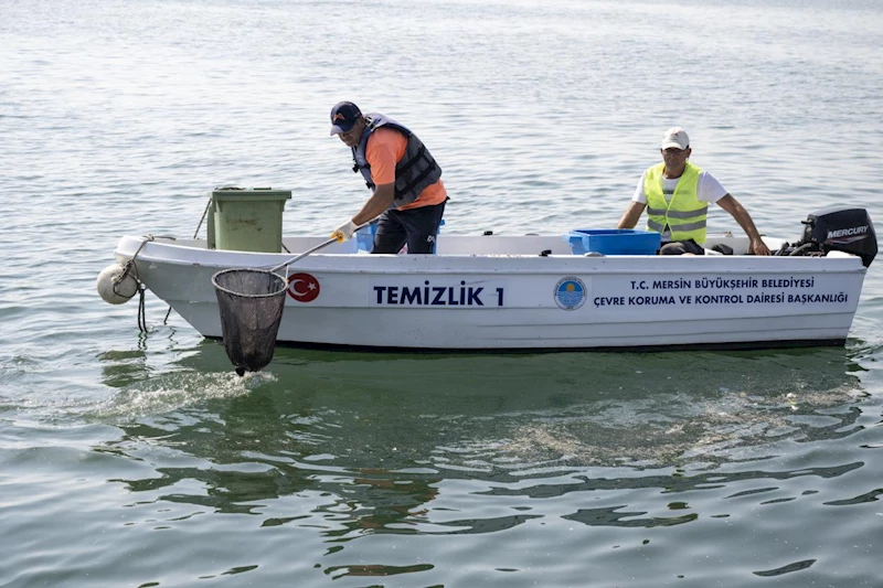 Büyükşehir Ekipleri, Denizi Mikroplastikten Arındırıyor