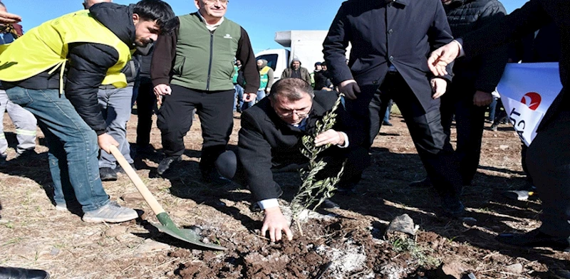 SİVEREK BELEDİYESİ KATMA DEĞERİ OLAN FİDANLARI TOPRAKLA BULUŞTURUYOR