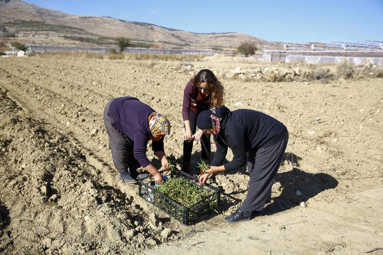 Büyükşehir’den Finike’ye soğuk hava deposu