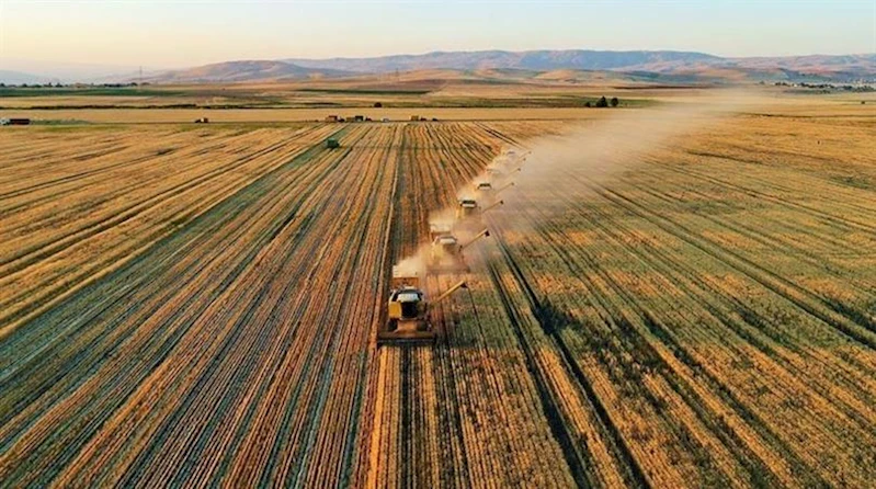 YAKLAŞIK 1,2 MİLYAR LİRALIK TARIMSAL DESTEKLEME ÖDEMESİ BUGÜN ÇİFTÇİLERİN HESAPLARINA AKTARILDI