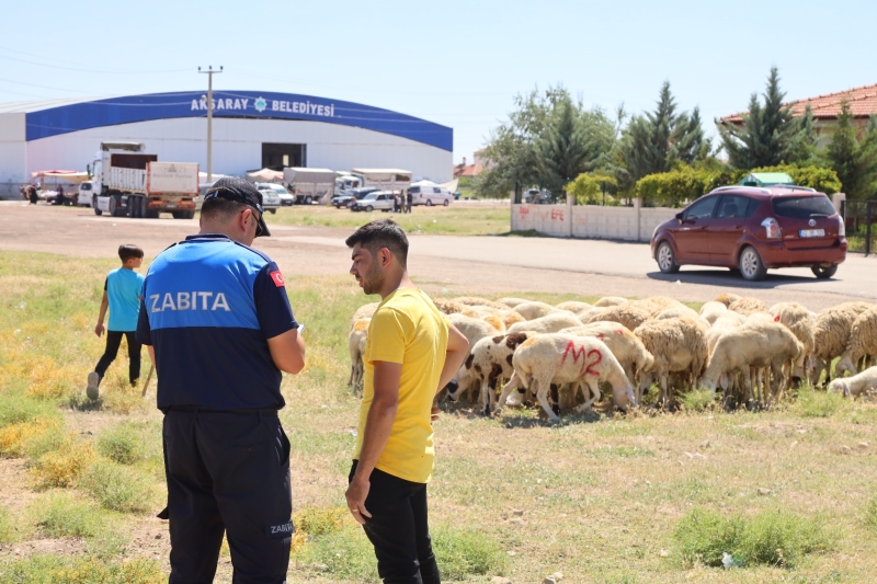 ZABITA EKİPLERİ KURBAN KESİM YERLERİ DIŞINDA KURBAN KESENLERİ UYARDI