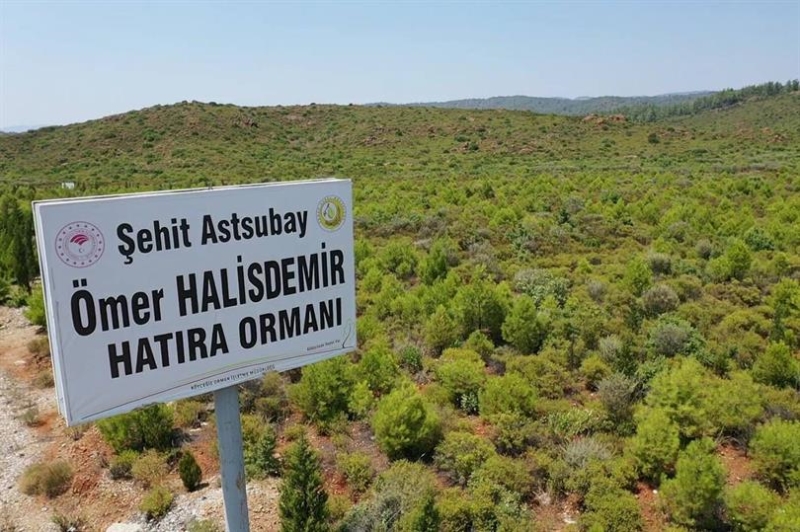 TARIM VE ORMAN BAKANLIĞI, 15 TEMMUZ ŞEHİTLERİNİN ANISINI YEŞİL VATAN