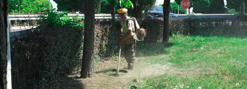 ÇİM BİÇME ÇALIŞMALARIMIZ ARALIKSIZ SÜRÜYOR