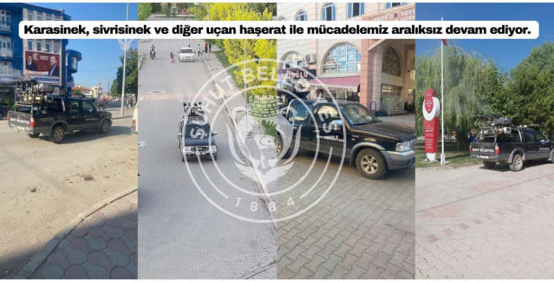 Karasinek, sivrisinek ve diğer uçan haşerat ile mücadelemiz aralıksız devam ediyor.