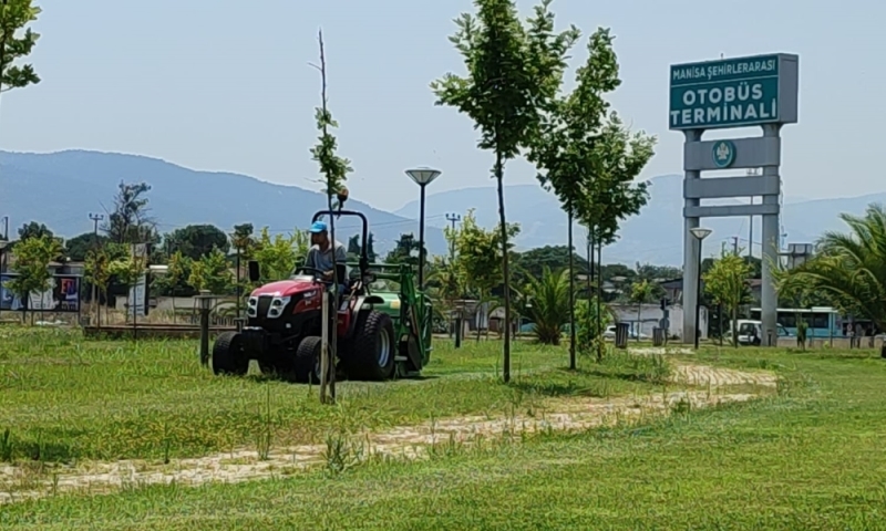 Yabani Ot Temizliği ve Çim Biçme Çalışmaları Sürüyor