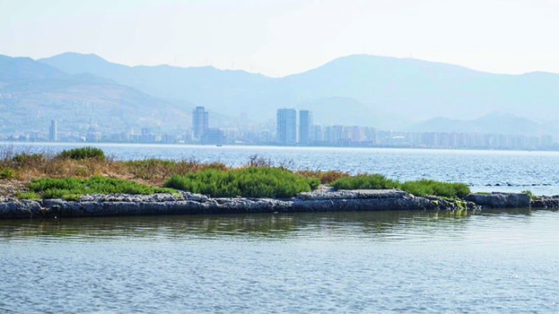 İzmir Körfezi’nde biyolojik çeşitlilik izleme çalışmaları başlıyor