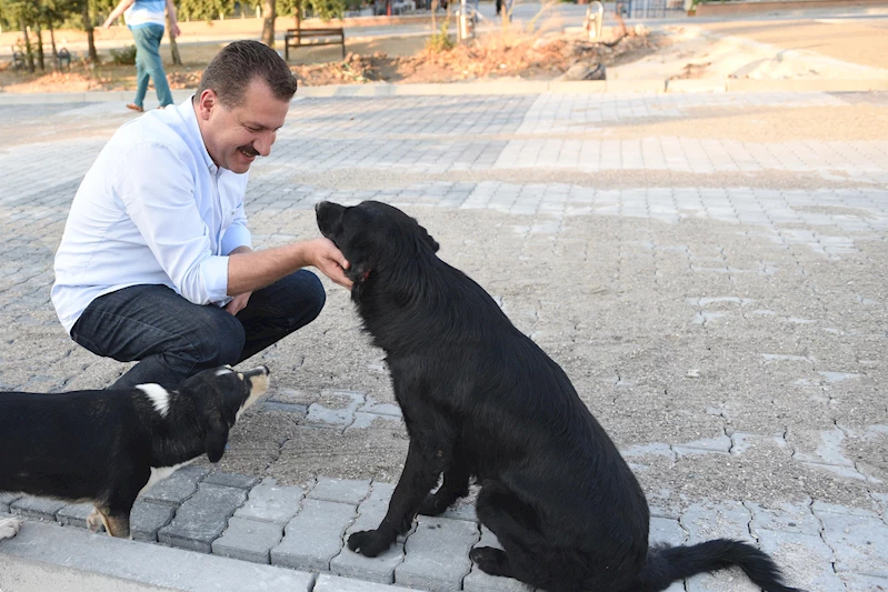 Balıkesir’de Her Canlı Kıymetli