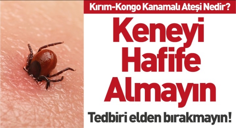 Kırım Kongo Kanamalı Ateşi Hakkında Eğitim