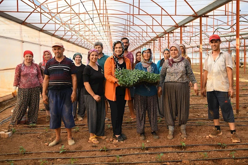 Üreticilerimizin Yeni Sezonu Hayırlı Uğurlu Olsun