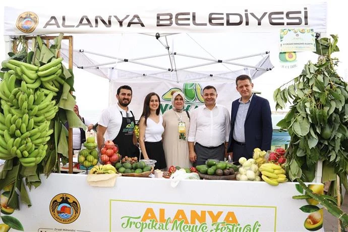 AVOKADO VE MANGO TEMALI TROPİKAL MEYVE FESTİVALİ İÇİN HAZIRLIKLAR SÜRÜYOR