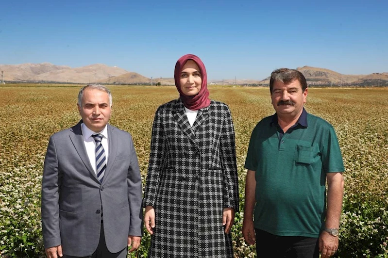 Belediye Başkanımız Nihat Sarı Tarla Günü programına katıldı