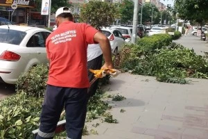 BİTKİ VE ÇALI GRUPLARI TEMİZLENİYOR