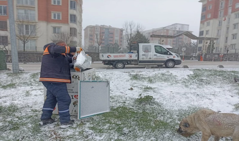 Keşan Belediyesi, can dostları yalnız bırakmadı