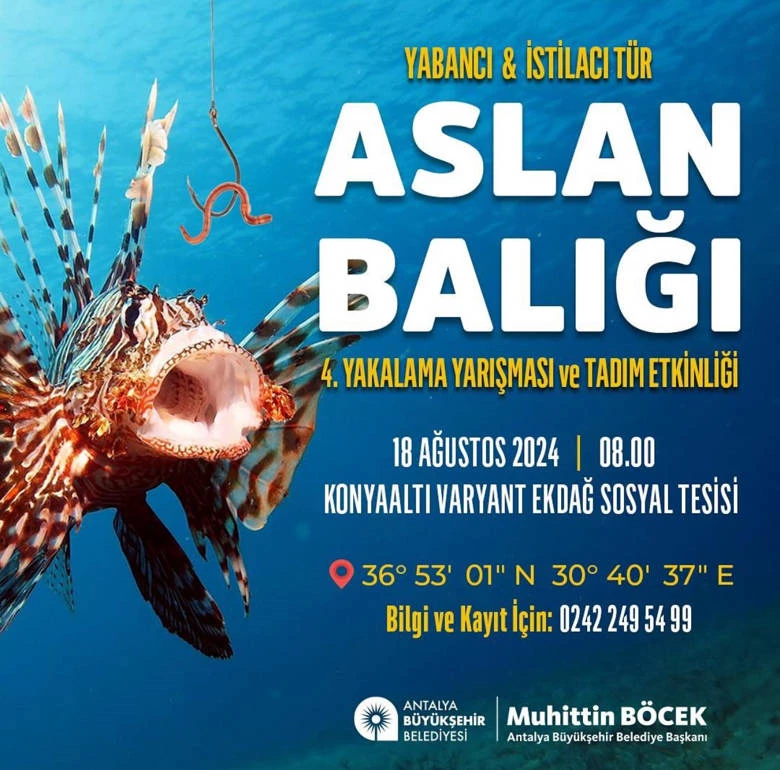 Aslan Balığı Yakalama Yarışması