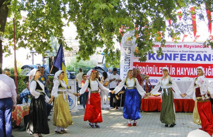 Havsa’da Festival Coşkusu