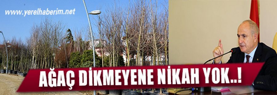 Ağaç dikmeyenin nikahı kıyılmayacak!