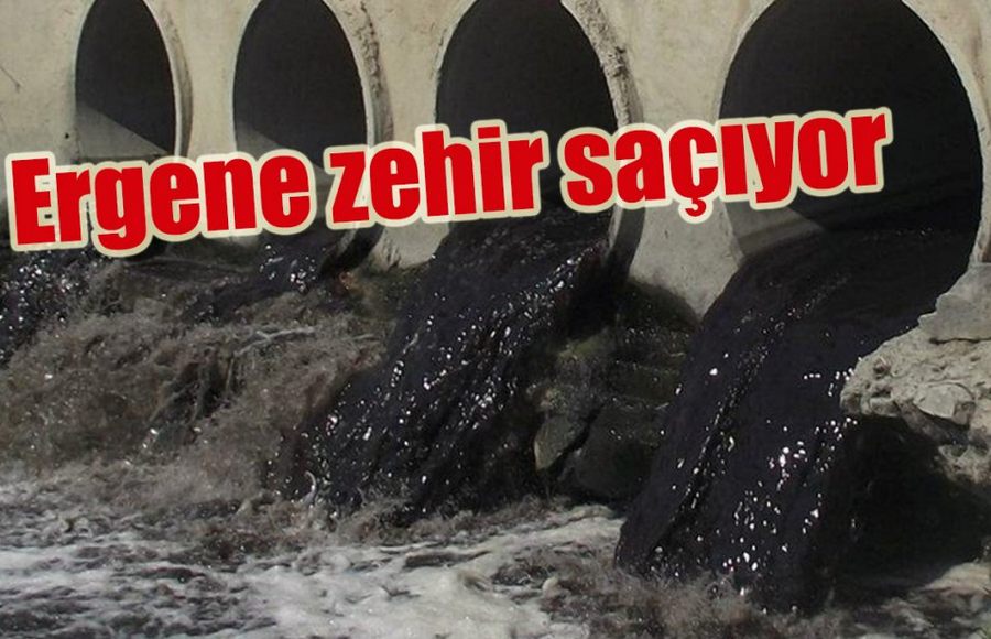 Ergene Nehri öldürüyor