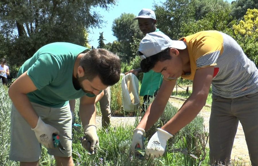 Gönüllü Bahçıvanlığa İlgi Giderek Artıyor