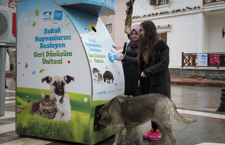 Pet Şişeler Mamaya Dönüşüyor