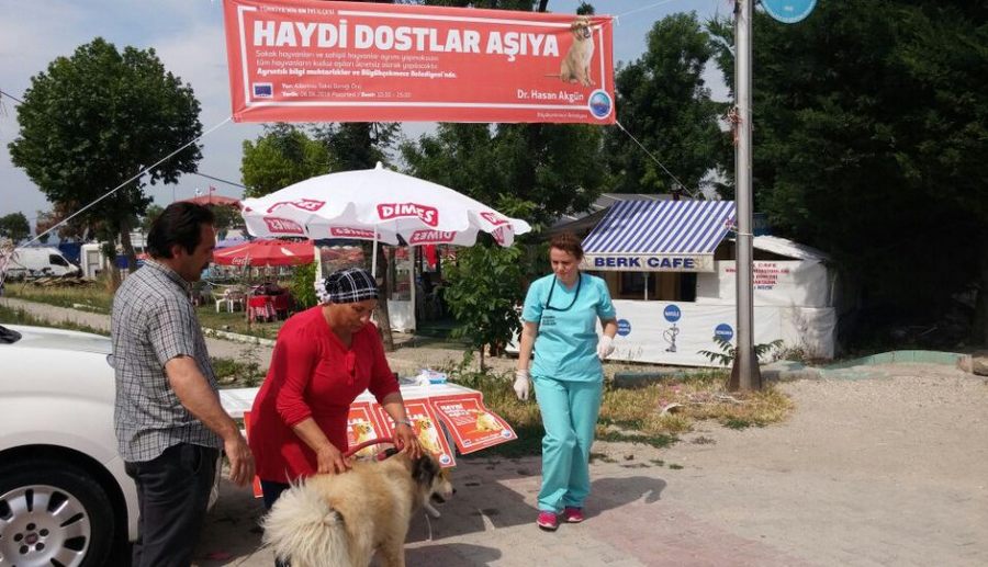 Haydi Dostlar Aşıya!