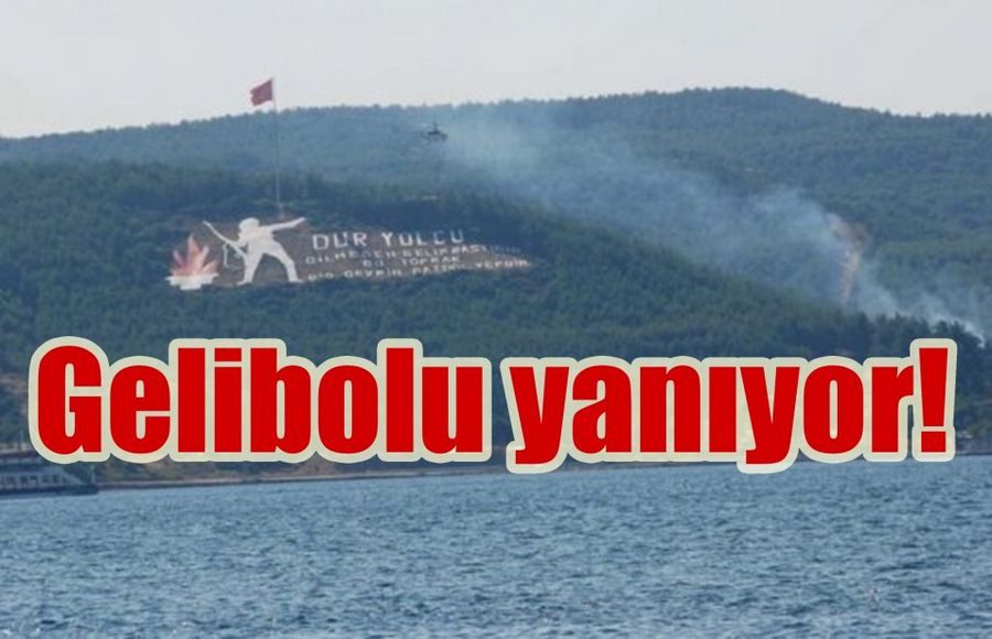 Gelibolu'da yangın!