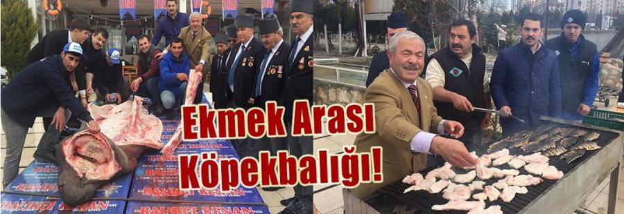 Ekmek Arası Köpekbalığı!