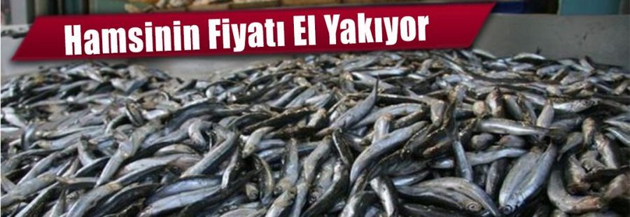 Hamsinin Fiyatı El Yakmaya Devam Ediyor