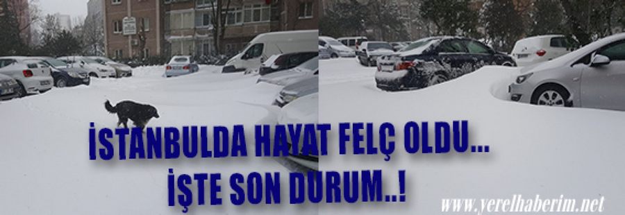 İstanbul’da Hayat Felç Oldu