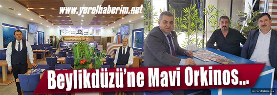 Beylikdüzü’ne Mavi Orkinos