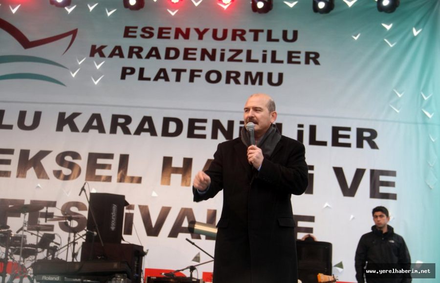 Hamsi Balık Festivali