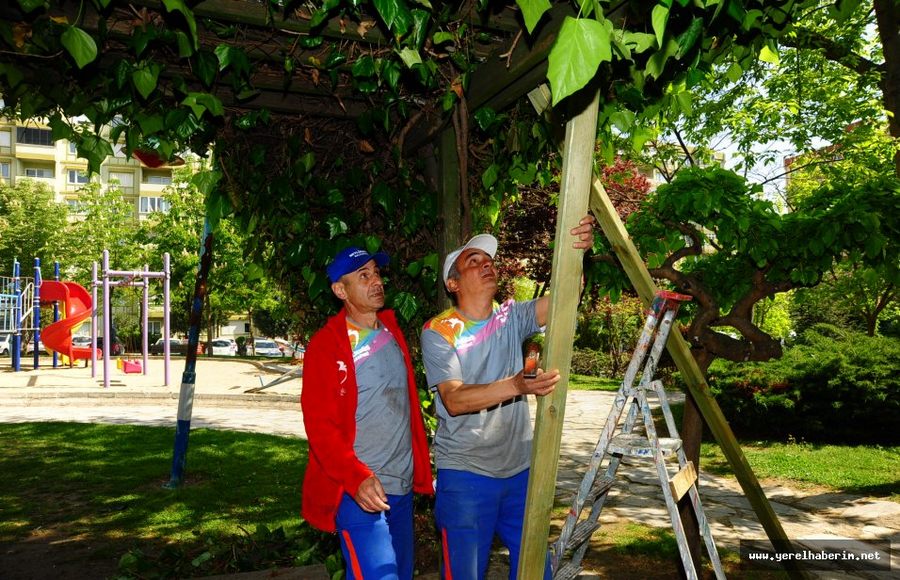 Beylikdüzü Belediyesi Marangozları Kenti Yeniliyor