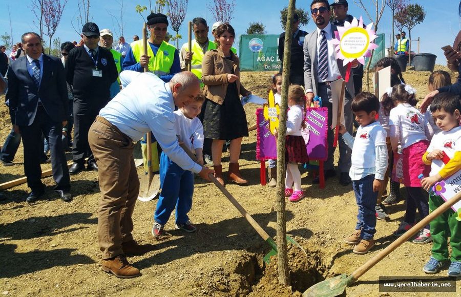 13 Şehidin Anısına 13 Çınar Ağacı