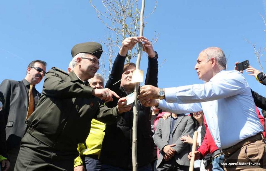 Bereket ve Barışın Simgesi