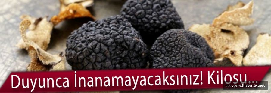 Duyunca İnanamayacaksınız! Kilosu…