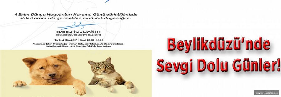 Beylikdüzü'nde Sevgi Dolu Günler..!