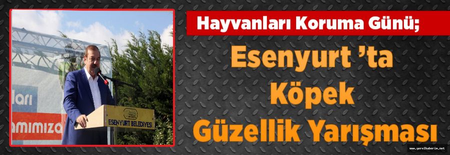 Esenyurt ’ta Köpek Güzellik Yarışması!