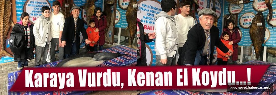 Karaya Vurdu, Balıkçı Kenan El Koydu...!