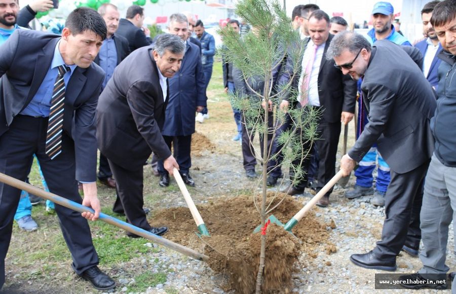 Esenyurtlu Şehitlerin Anısına Fidan Dikildi